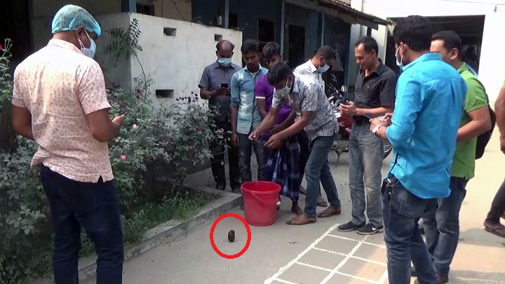 টাঙ্গাইলে পুকুর থেকে গ্রেনেড উদ্ধার