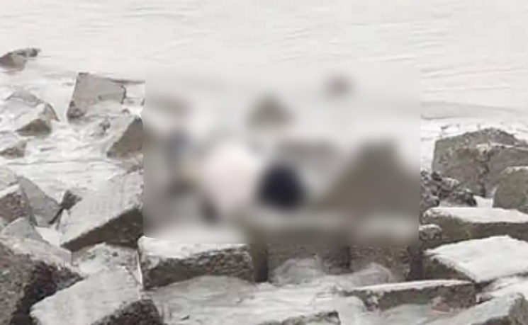 ইছামতী নদী থেকে যুবকের মৃতদেহ উদ্ধার