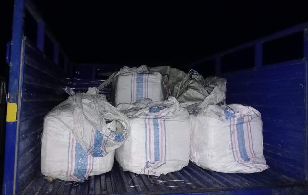 মহিপুরে ২৭ মণ জাটকা ইলিশ জব্দ, ট্রাকসহ আটক ১