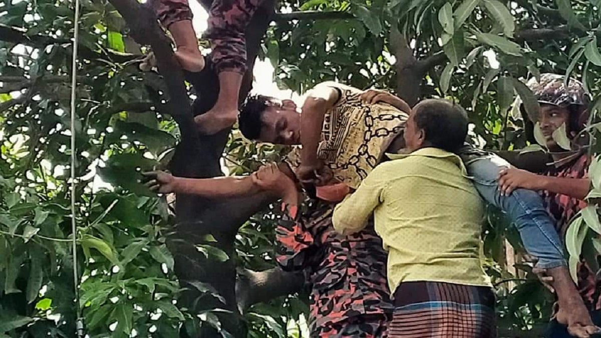 আমগাছে উঠে বিদ্যুৎস্পৃষ্ট হয়ে একজনের মৃত্যু