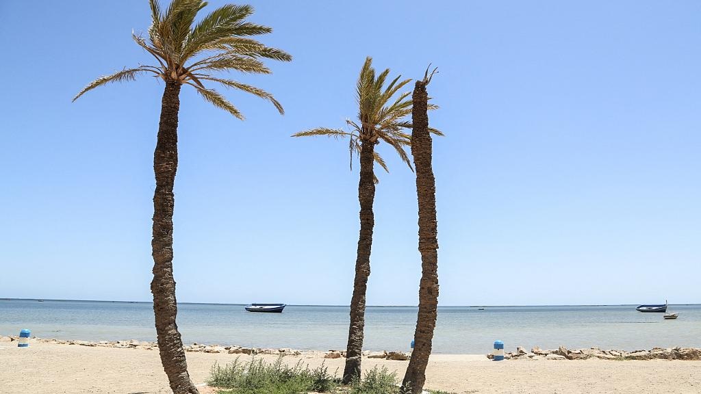 তিউনিসিয়া উপকূলে নৌকাডুবিতে অন্তত ৫০ অভিবাসনপ্রত্যাশী নিখোঁজ; ৩৩ বাংলাদেশি জীবিত উদ্ধার