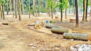 সোহরাওয়ার্দী উদ্যানের ৩টি স্মৃতি বিজড়িত স্থানে সৌন্দর্যবর্ধনের দাবি