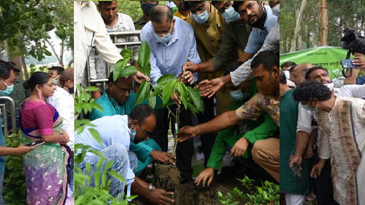 প্রতি বছরই সারাদেশে গাছের চারা রোপন করছে আওয়ামী লীগ: তথ্যমন্ত্রী