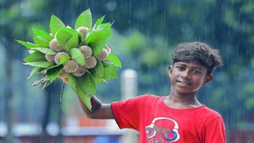 আষাঢ়ের প্রথম দিন আজ আষাঢ়ের প্রথম দিন আজ