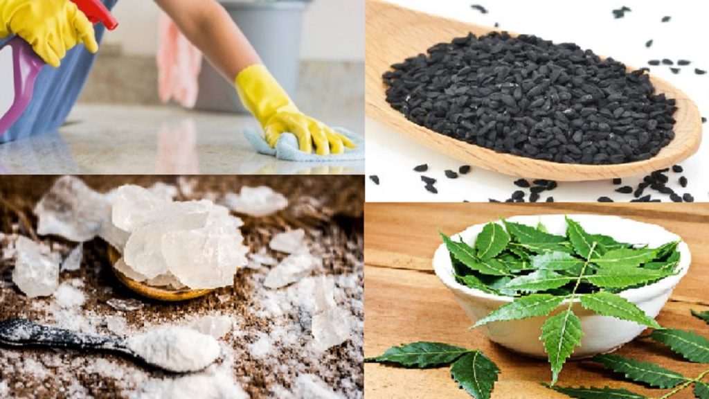 বর্ষায় যেভাবে ঘরের পোকামাকড় দূর করবেন