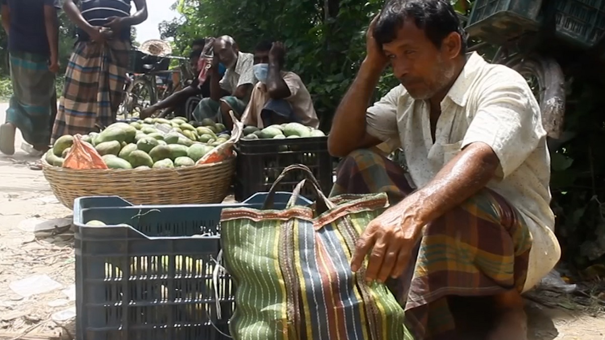 ঝিনাইদহের বাজারে আম বিক্রি হচ্ছে কেজিপ্রতি ৮ টাকায়