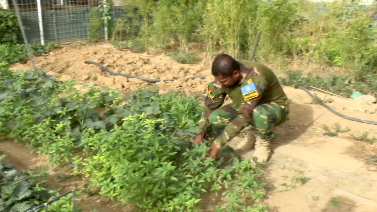 মালির মরুভূমিতে যেমন আছেন বাংলাদেশি সেনারা