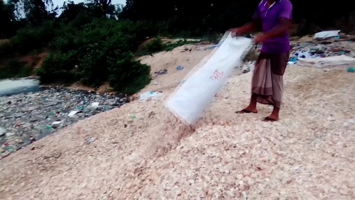 ময়মনসিংহে এতো ডিমের খোসা কোত্থেকে আসছে?