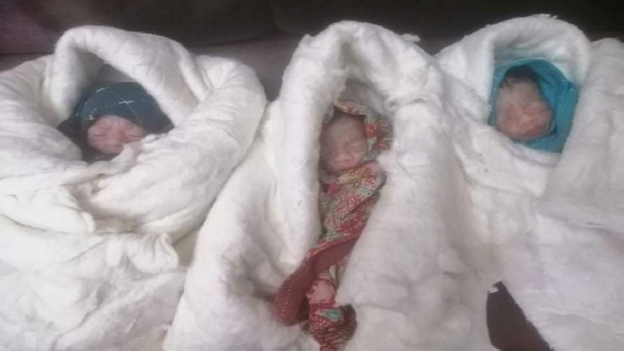 ভোলায় একসঙ্গে তিন নবজাতকের জন্ম ভোলায় একসঙ্গে তিন নবজাতকের জন্ম