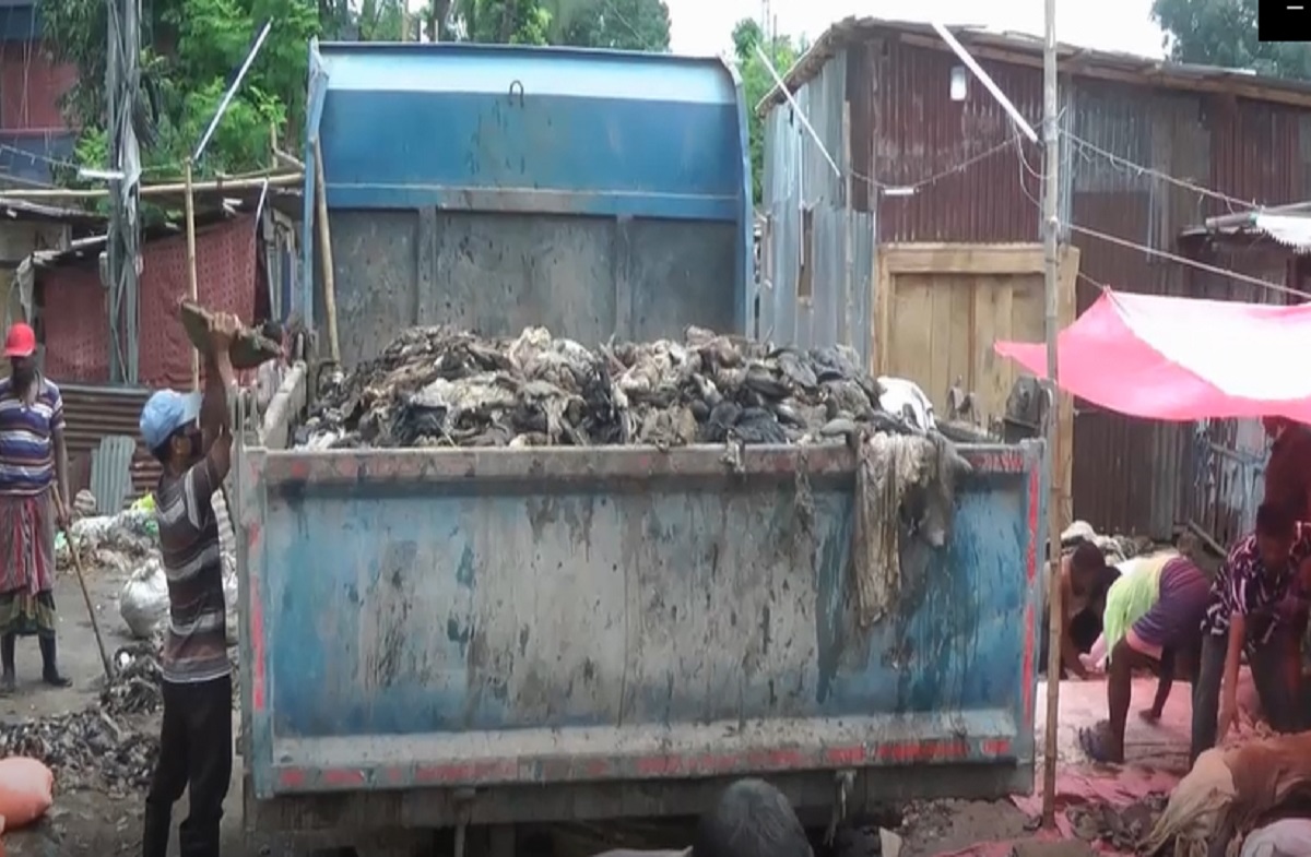 দিনাজপুরে ক্রেতার অভাবে ফেলে দেয়া হচ্ছে ছোট গরু ও ছাগলের চামড়া