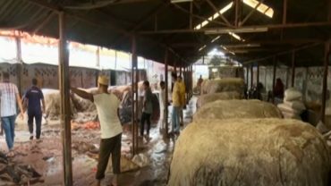 চট্টগ্রামে কাঁচা চামড়া নিয়ে অনিশ্চয়তায় আড়তদাররা
