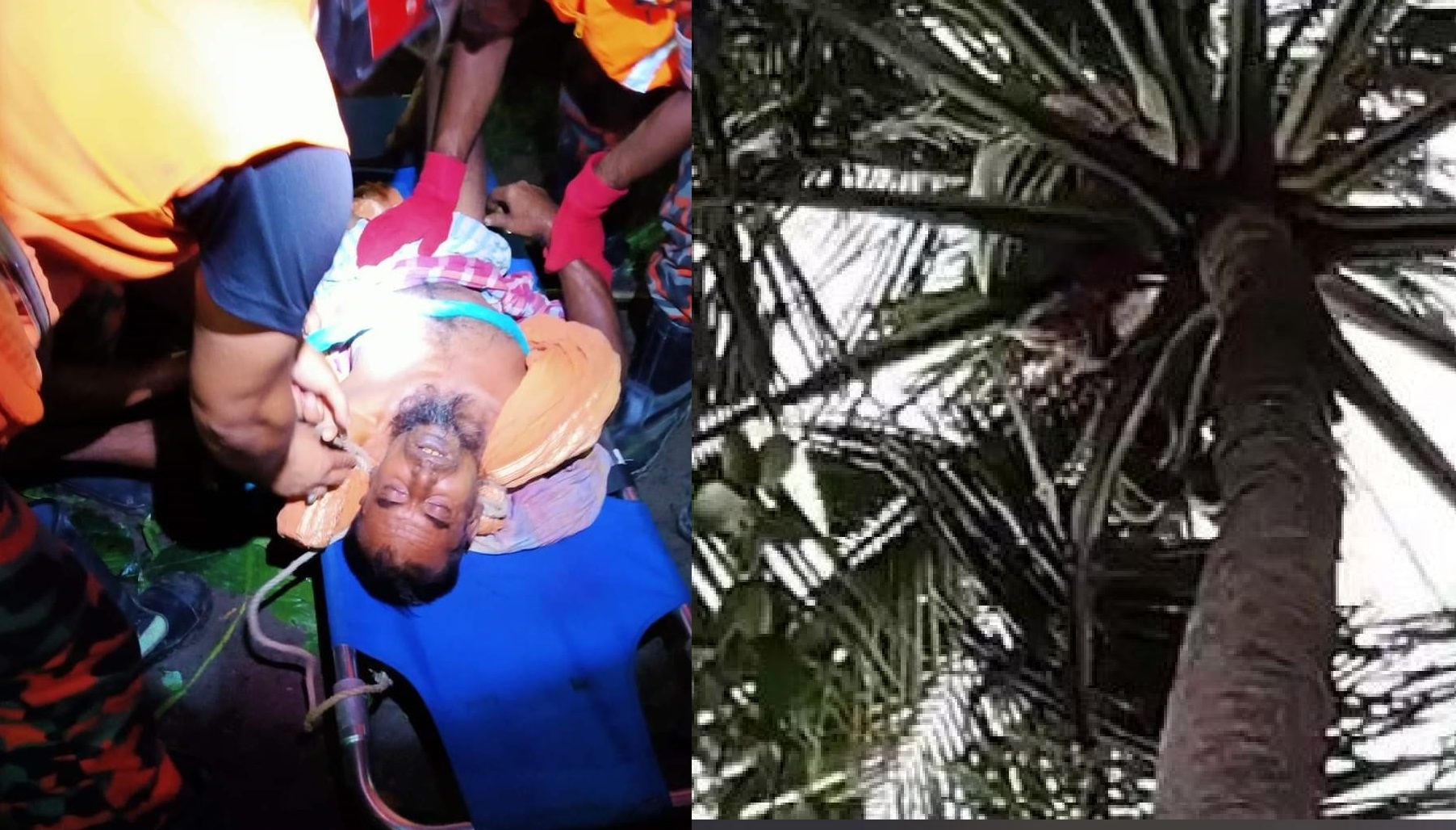নারকেল গাছের উপরে মৃত্যু, লাশ নামালো ফায়ার সার্ভিস