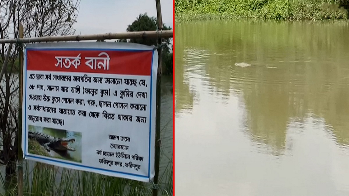 ফরিদপুরে কুমির আতঙ্ক, ব্যর্থ উদ্ধার অভিযানের পর সতর্কতা জারি