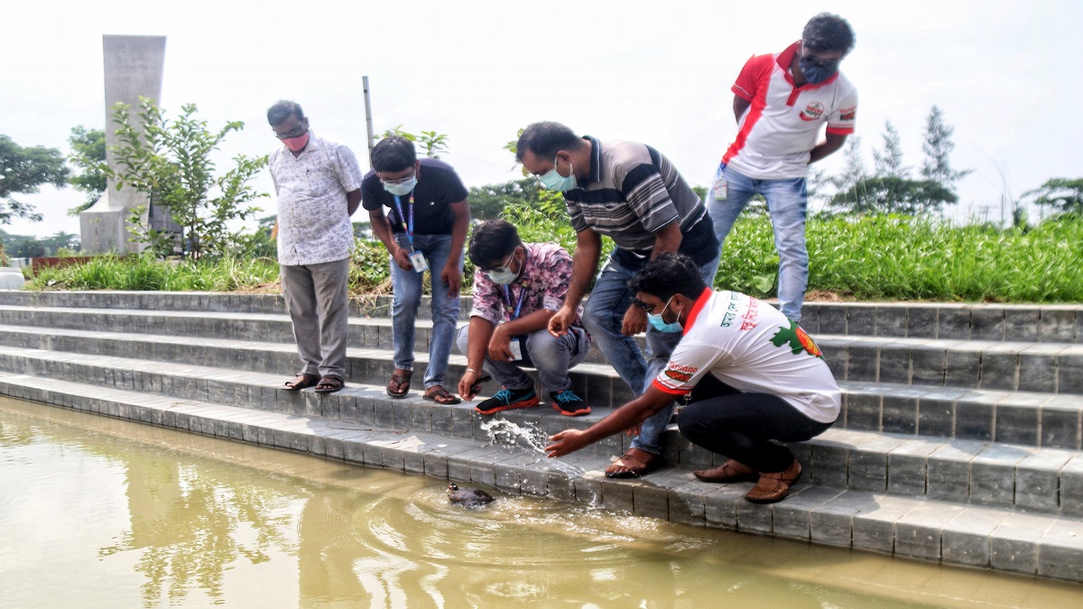 পাবনায় উদ্ধারকৃত কচ্ছপ লেকে অবমুক্ত করা হলো