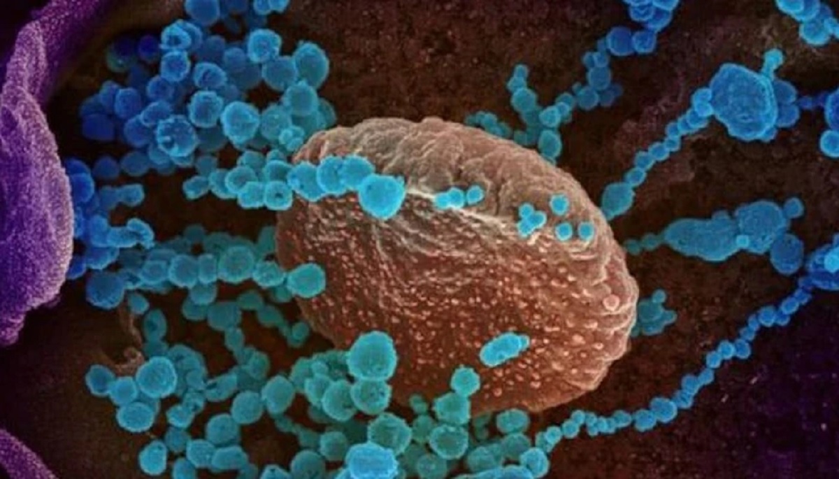 বাংলাদেশে করোনার ল্যাম্বডা ভ্যারিয়েন্ট শনাক্ত