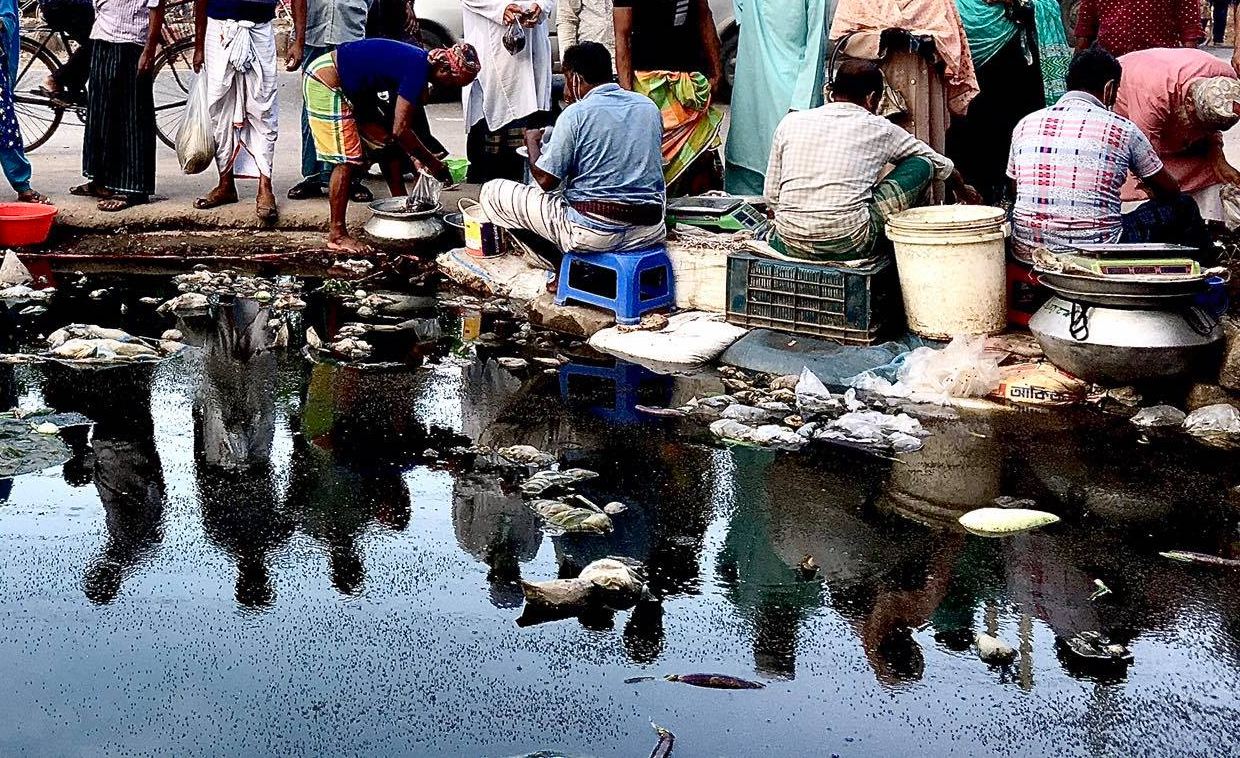 ২৪ ঘণ্টায় ডেঙ্গু নিয়ে হাসপাতালে ভর্তি ২৩২ জন