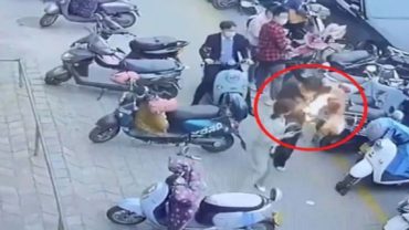 ব্যাগের মধ্যে ফোন বিস্ফোরণ, দাউ দাউ করে জ্বলে উঠলো আগুন! (ভিডিও)