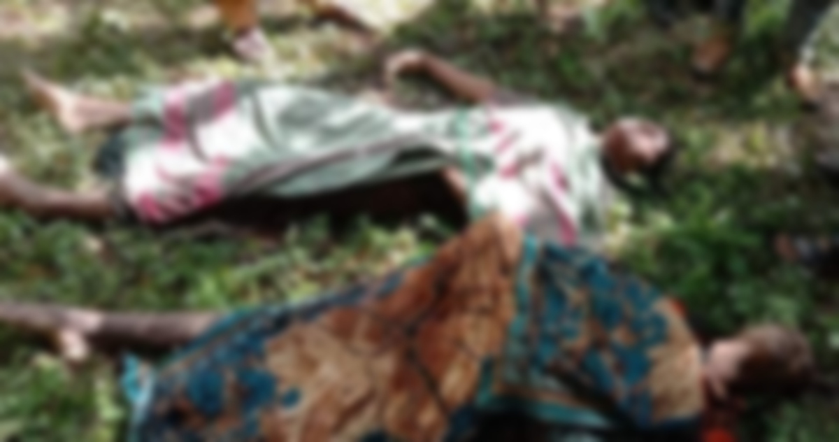 সাতক্ষীরায় ধানক্ষেতের ড্রেন থেকে ২ যুবকের মরদেহ উদ্ধার