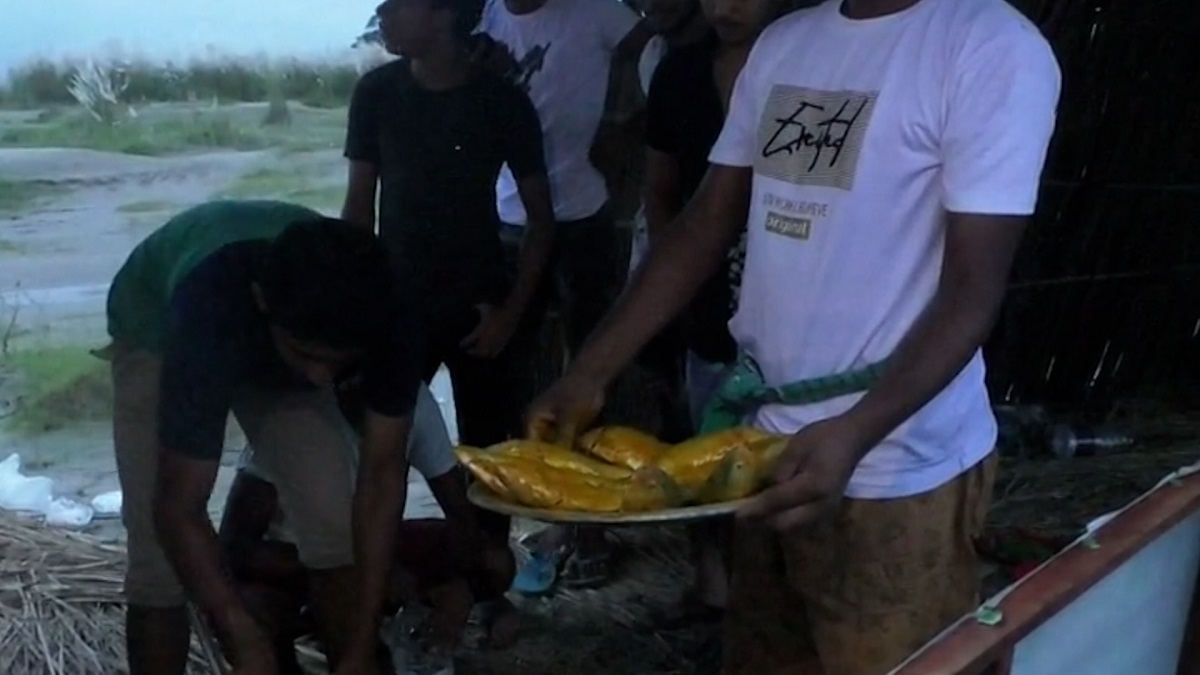 পদ্মা-মেঘনার চরাঞ্চলে ইলিশ বিনাশীদের উৎসব