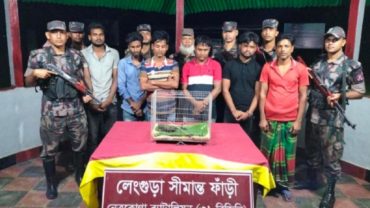 কলমাকান্দায় তক্ষকসহ আটক ৬