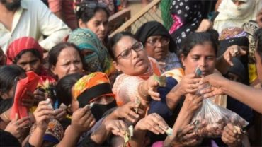কমলো পেঁয়াজের ঝাঁঝ