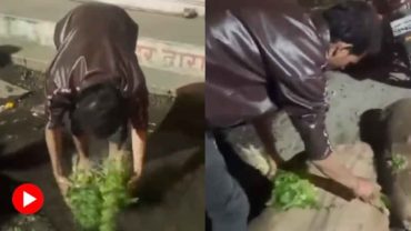 ‘টাটকা রাখতে’ ড্রেনের পানিতে ধনেপাতা ধুচ্ছেন সবজি বিক্রেতা! (ভিডিও)