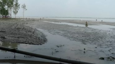 বালুচরে পরিণত হয়েছে তিন ফসলি জমি, দিশেহারা তিস্তাপাড়ের চাষিরা