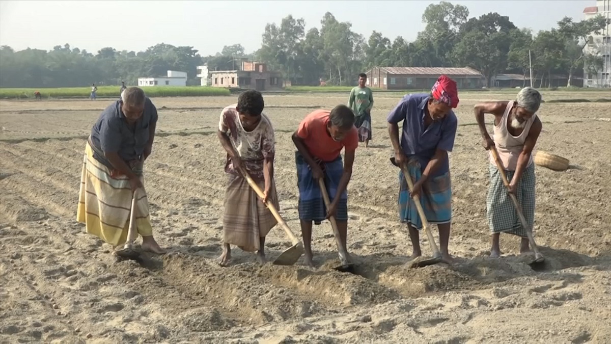 ডিজেলের দাম বাড়ায় কৃষকের ব্যয় বাড়বে ৩০ শতাংশ
