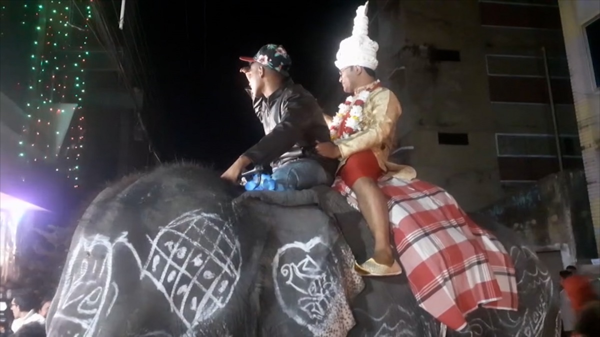 শ্বশুরের শখ মেটাতে হাতিতে চেপে বিয়ে!