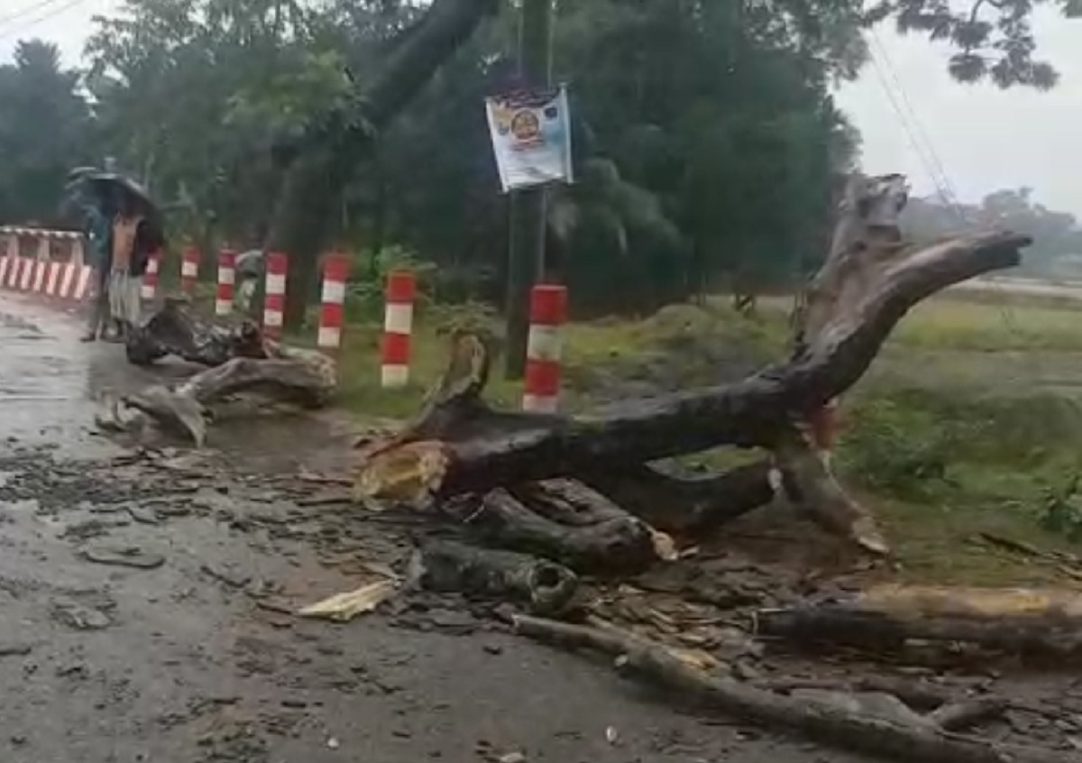 মেয়েকে বিদায় জানাতে এসে চিরবিদায় মায়ের
