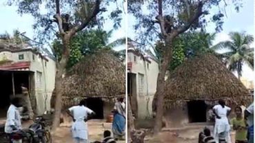 করোনার টিকা নেয়ার ভয়ে গাছে উঠে বসে থাকলেন তিনি (ভিডিও)