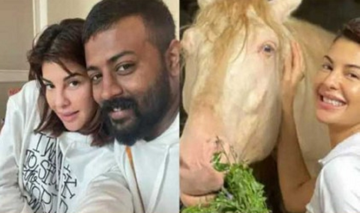 জ্যাকুলিনকে ১০ কোটি টাকার উপহার দেন সুকেশ!