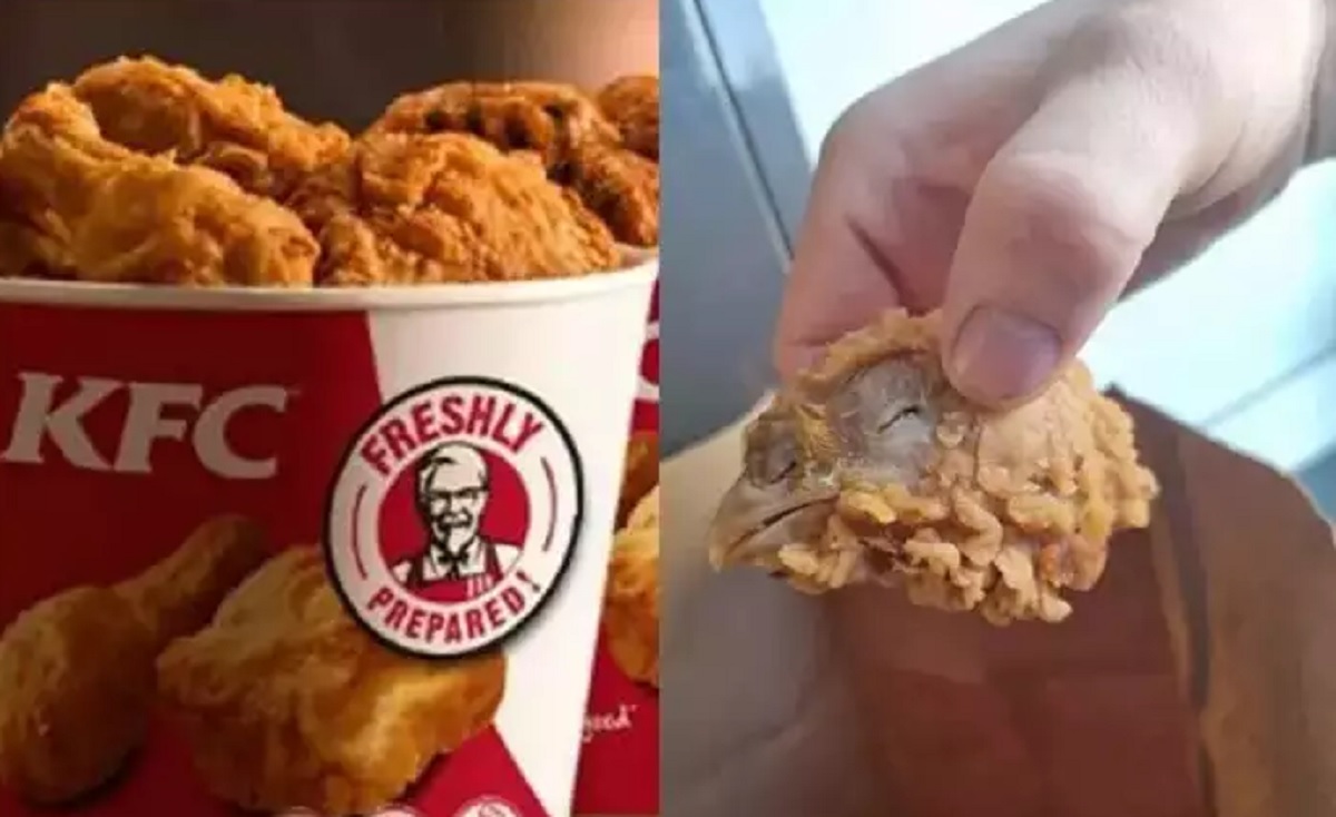 কেএফসির হট উইংসে আস্ত মুরগির মাথা! সমালোচনার ঝড়