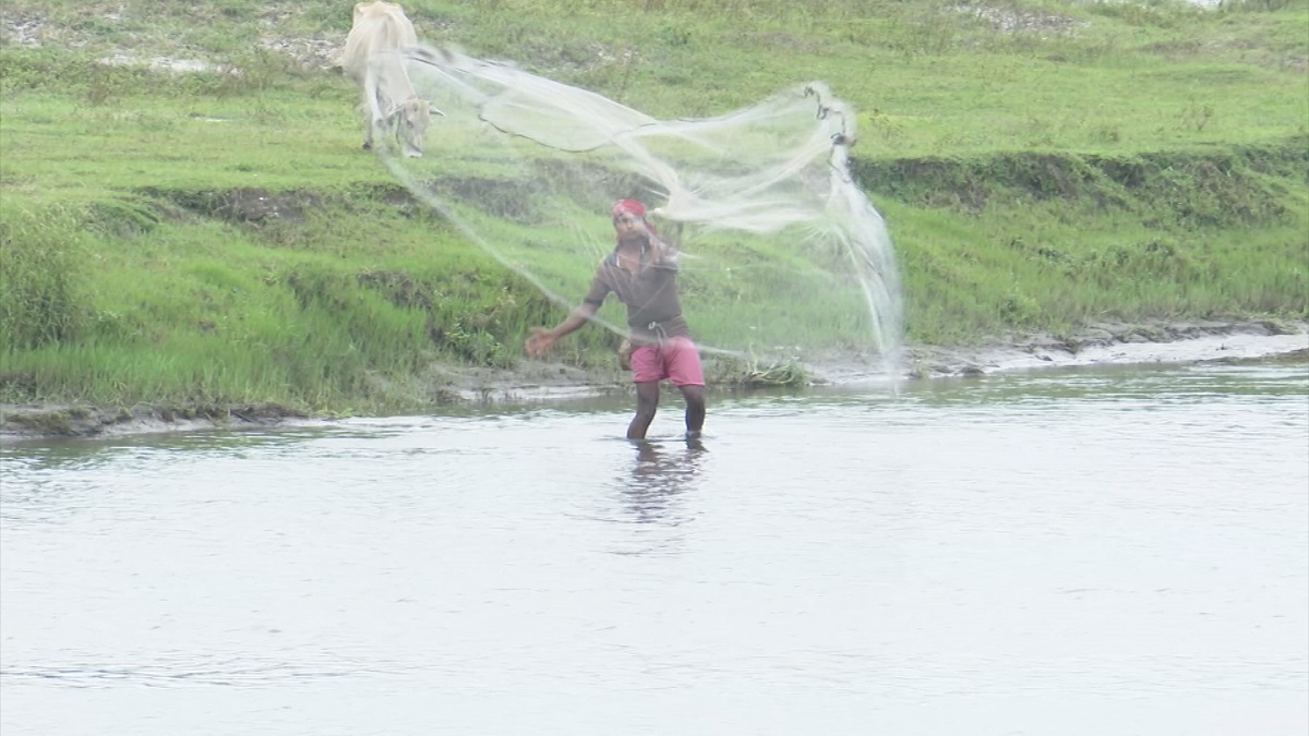 বদলে যাওয়া জনপদ তেতুলিয়া