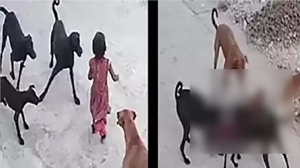 একইসাথে ৪টি কুকুরের আক্রমণ থেকে বেঁচে ফিরলো শিশু!