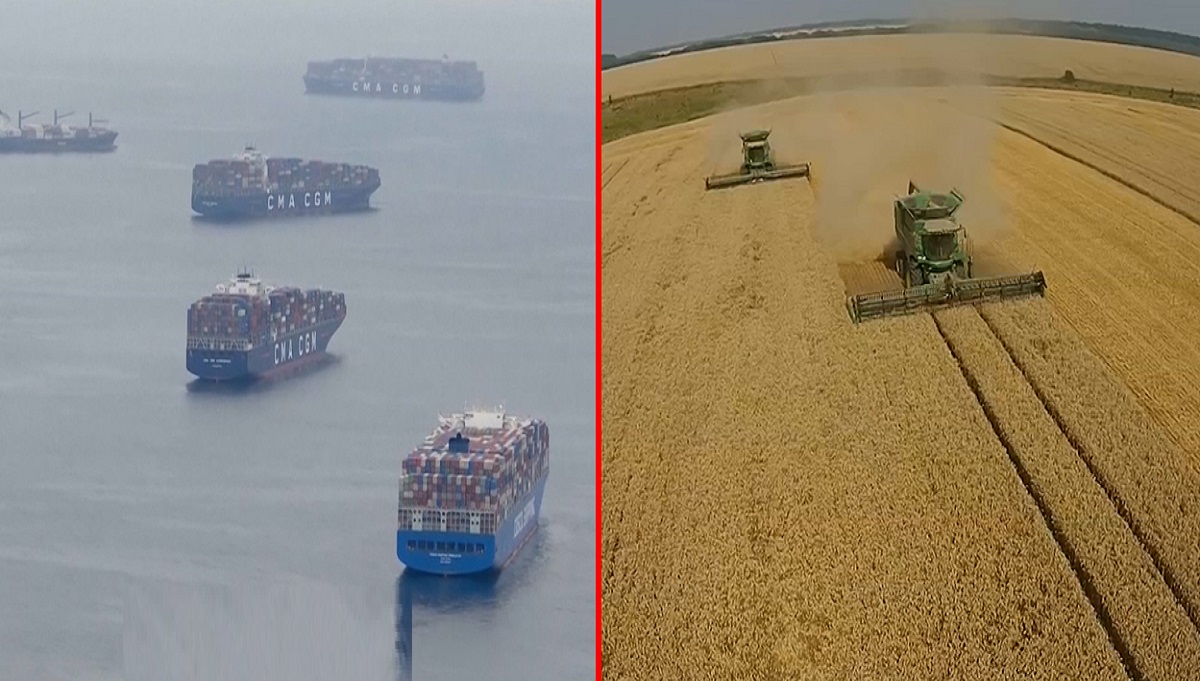 রুশ হামলায় টালমাটাল আন্তর্জাতিক বাজার, বাড়তে পারে খাদ্যপণ্যের দাম