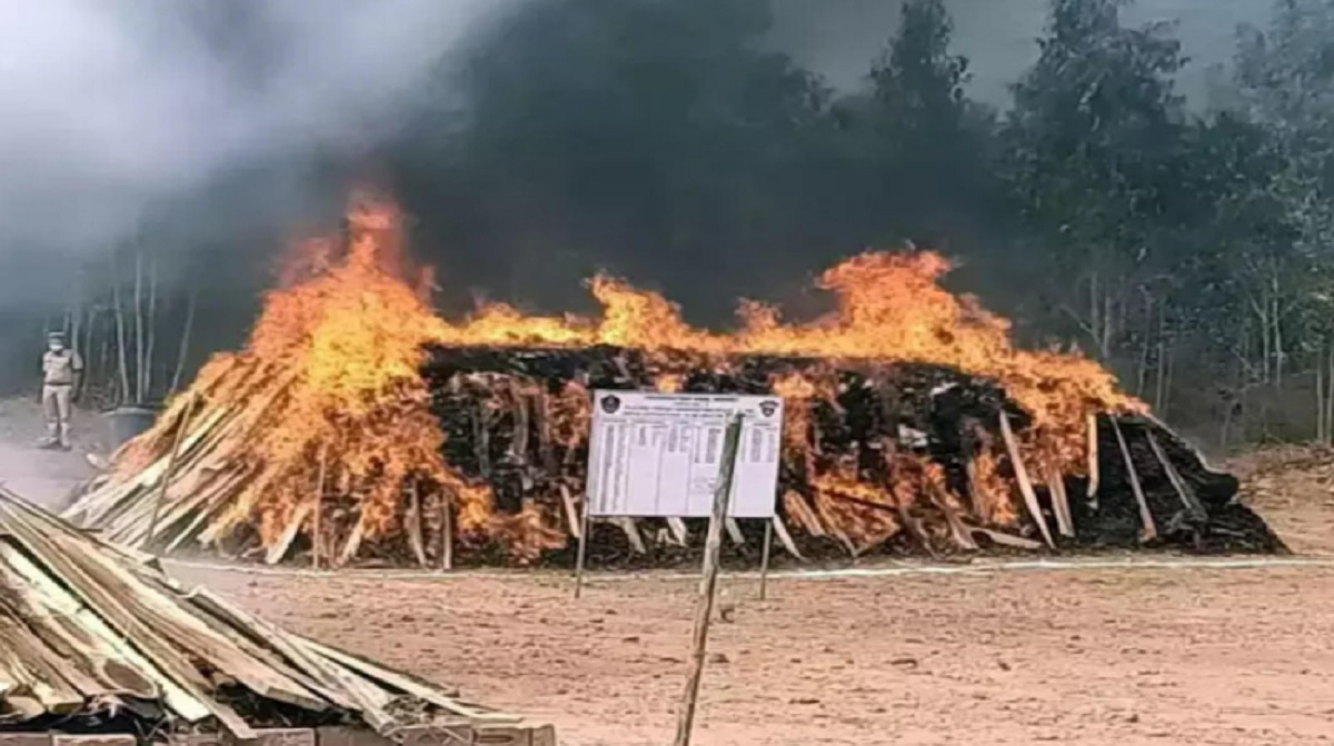 খোলা মাঠে দুই লাখ কেজি গাঁজা পোড়ালো পুলিশ