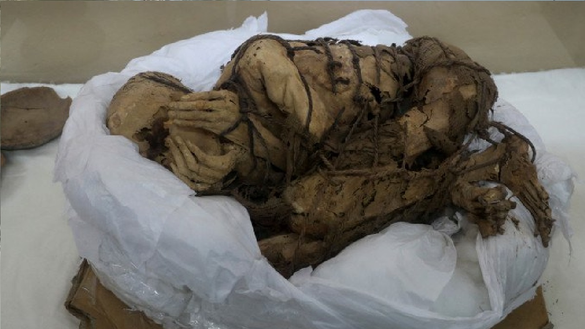 পেরুতে ১২শ’ বছরের পুরনো মমি উদ্ধার