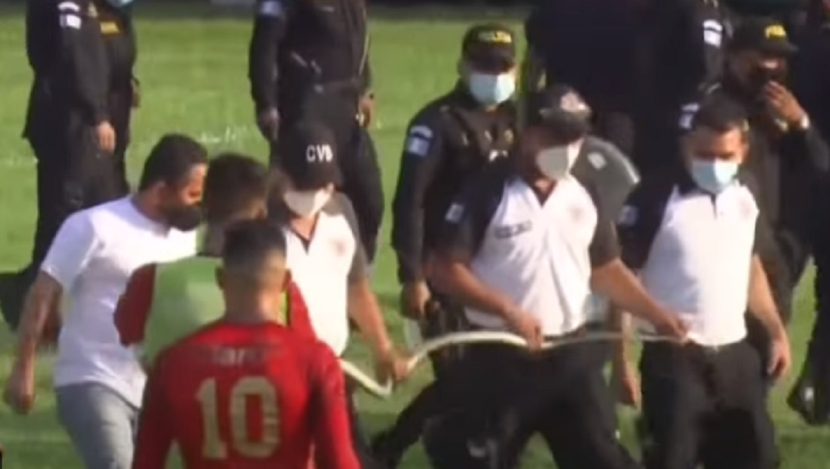 ফুটবল মাঠে সাপ, পুলিশের প্রচেষ্টায় বস্তাবন্দী (ভিডিও)