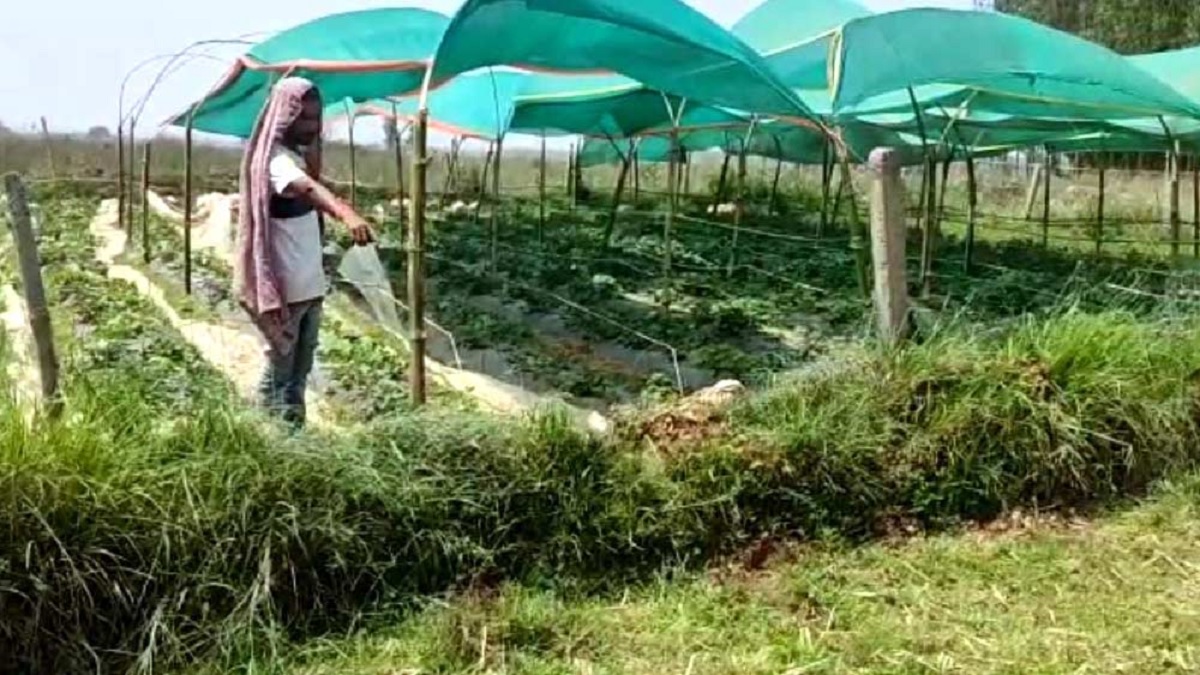 প্রেমিকের সঙ্গে পালাতে গিয়ে বিদ্যুৎস্পৃষ্টে কিশোরীর মৃত্যু