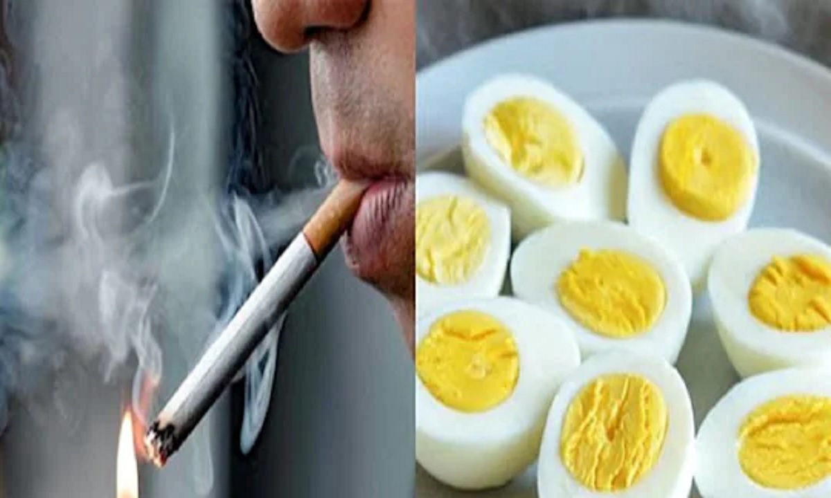 সিগারেটের থেকেও বেশি ক্ষতিকারক ডিম?