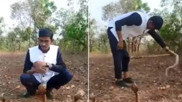 তিন গোখরোর সামনে কেরামতি যুবকের, পরিণতি হলো মারাত্মক! দেখুন ভিডিও