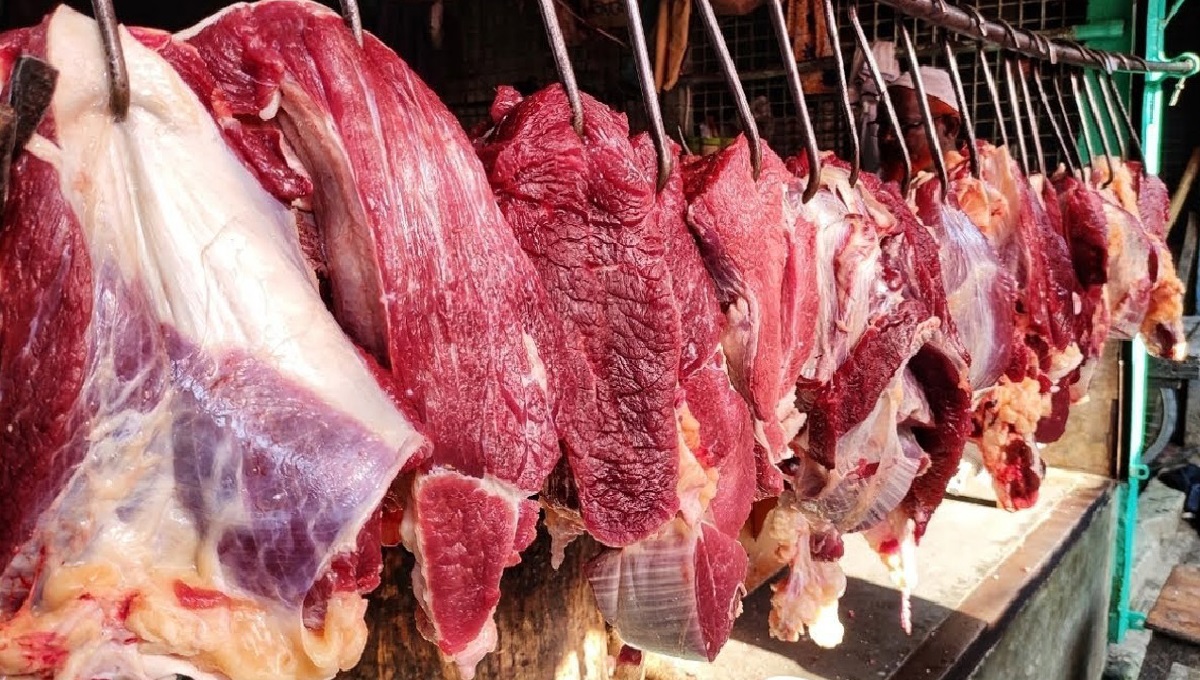 অসহনীয় মাছের বাজার, আরও এক দফা বেড়েছে গরু ও খাসির মাংসের দাম