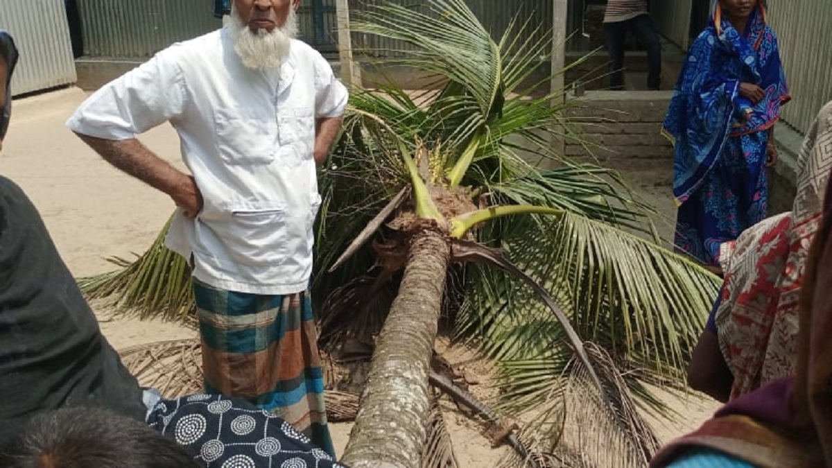 কিস্তির টাকা তুলতে গিয়ে গাছ চাপা পড়ে এনজিও কর্মীর মৃত্যু