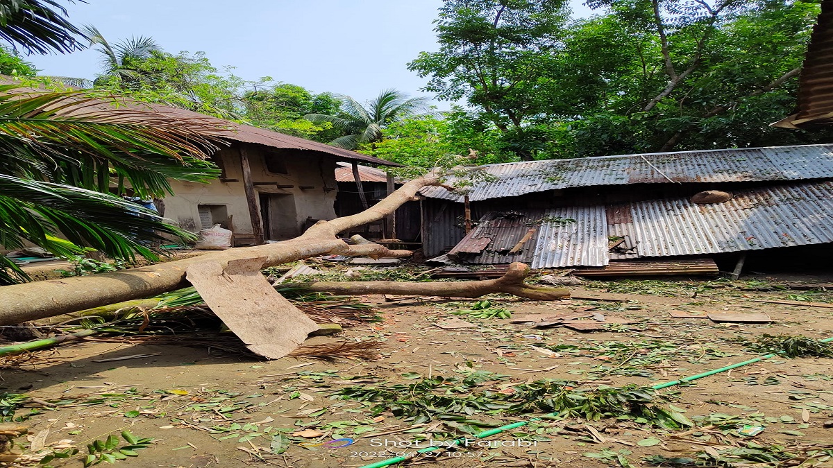 কুড়িগ্রামে ঝড়ে গাছচাপায় গৃহবধূর মৃত্যু