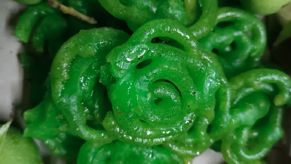 আসলে যা দিয়ে বানানো হতো ‘কাঁচা আমের জিলাপি’