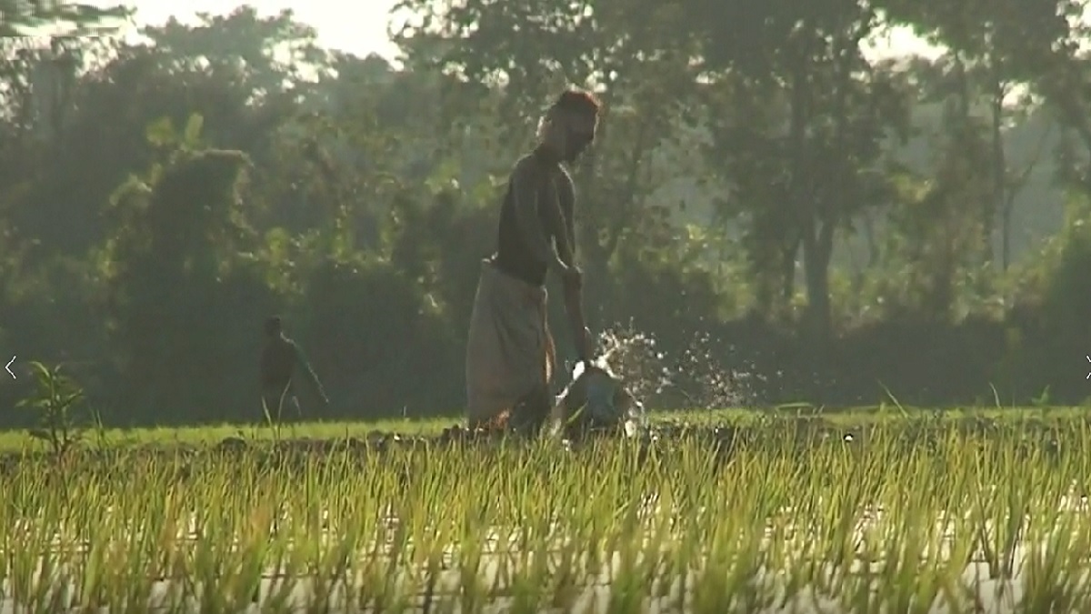 ঢল নেমেছে হাওরে, বাঁধ রক্ষায় কাঁধে কাঁধ কৃষকদের