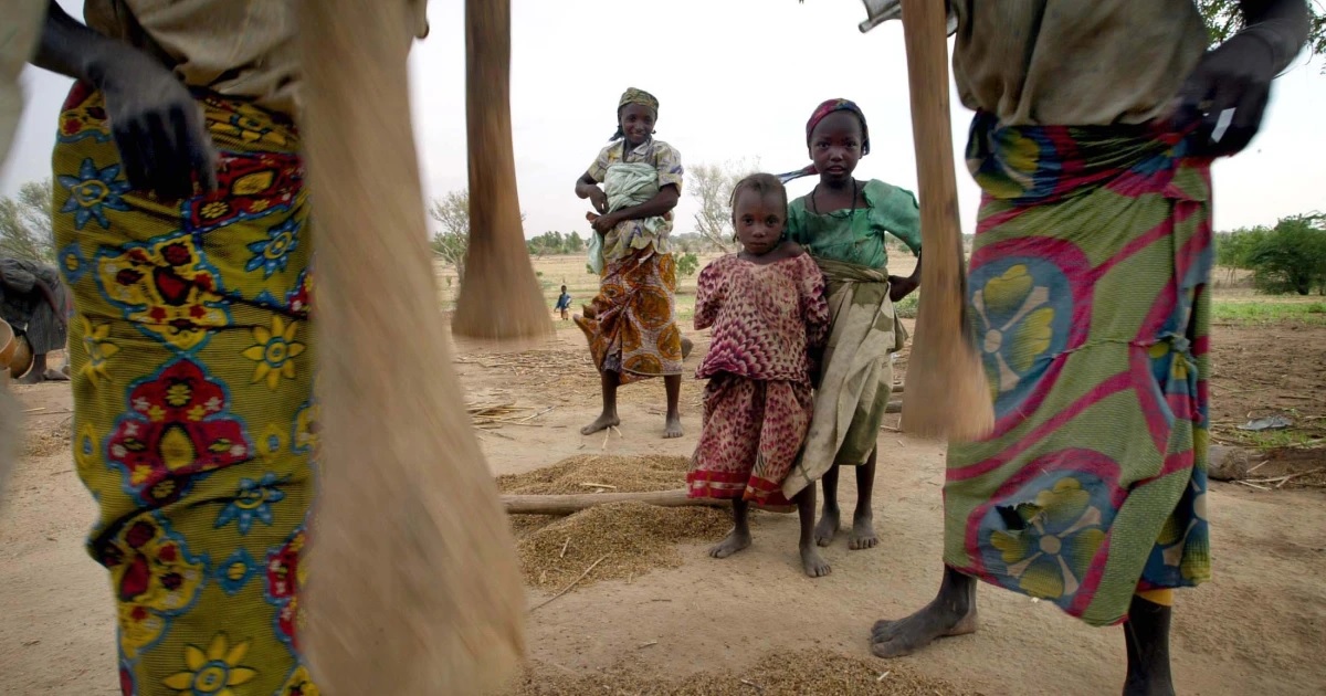 ‘এক দশকে সবচেয়ে বড় খাদ্য সংকটের মুখোমুখি পশ্চিম আফ্রিকার দেশগুলো’