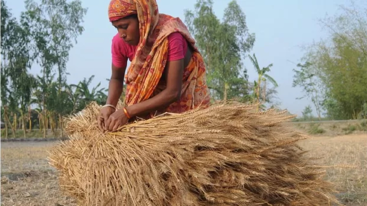 ঘোষণা হতে দেরি, দাম বাড়তে দেরি নেই