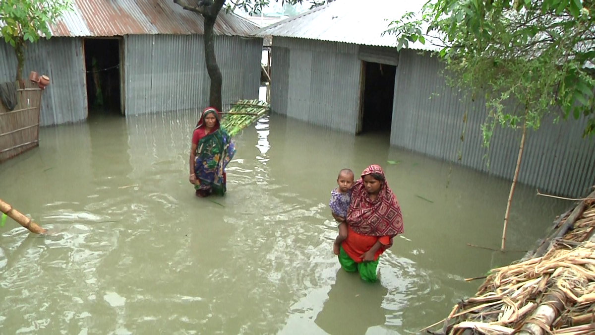 বন্যার কবলে তিস্তা অববাহিকা, দুর্গতদের পাশে নেই কেউ
